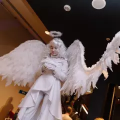 Шоу ходулистов Aster Show