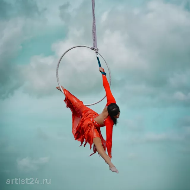 Воздушные гимнасты На Высоте — цирковой артист, фото 5