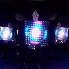 Световое шоу Showberry