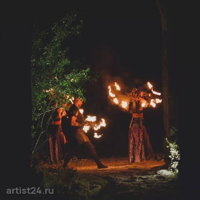 Огненное шоу Bonfire Show — световое шоу, фото 3
