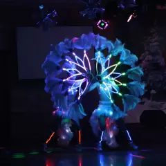 Световое шоу Элис-Шоу