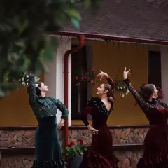 Шоу-балет фламенко Rosa y Tacon