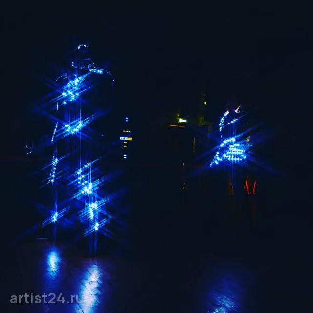 Световое шоу Neopixel show — световое шоу, фото 6