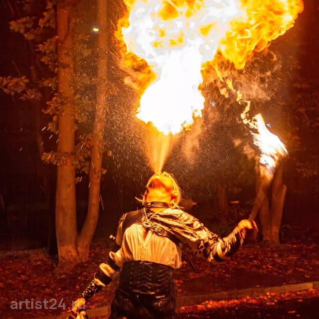 Фаер-шоу Dragon Show — световое шоу, фото 5