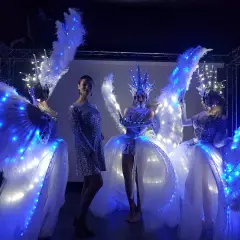 Шоу-балет Премиум