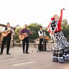 Кавер-группа Los Buchos