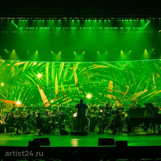 Симфонический оркестр Imperial Orchestra — музыкант
