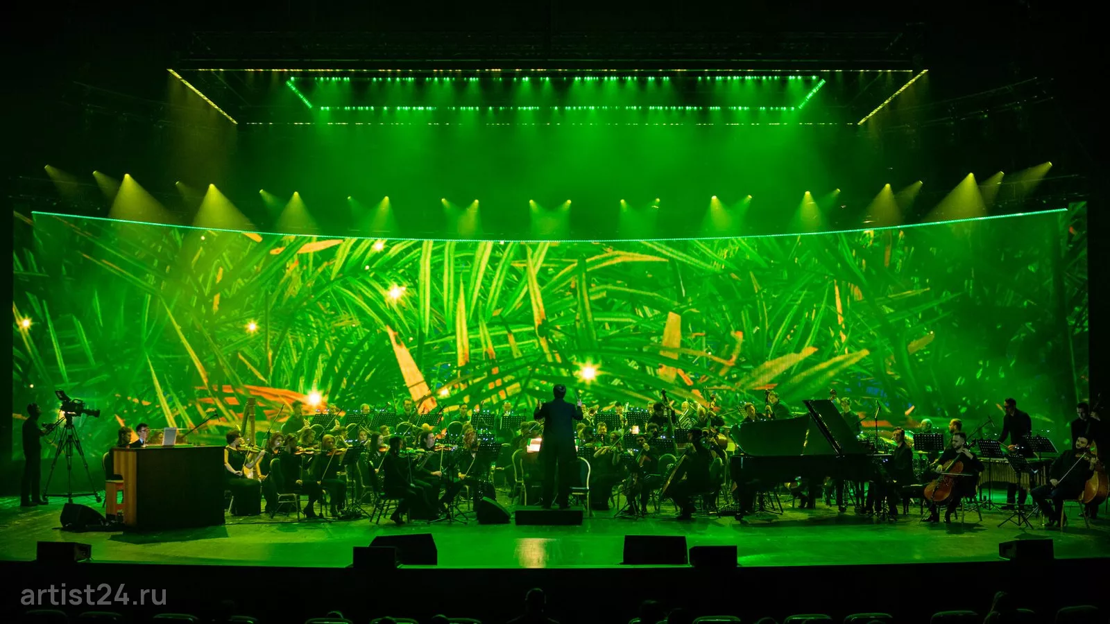 Симфонический оркестр Imperial Orchestra — музыкант